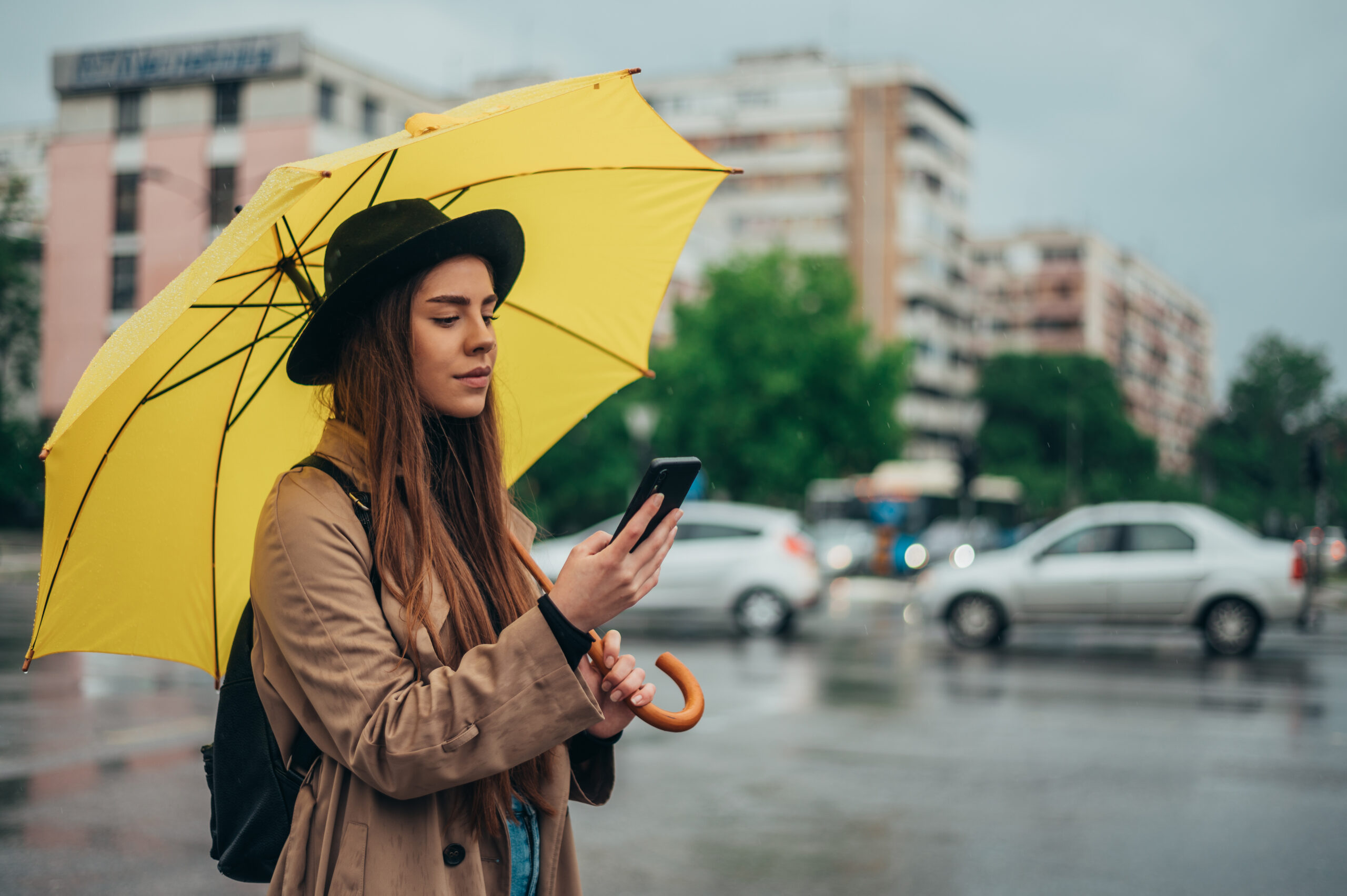 WeatherPro - Detail Page