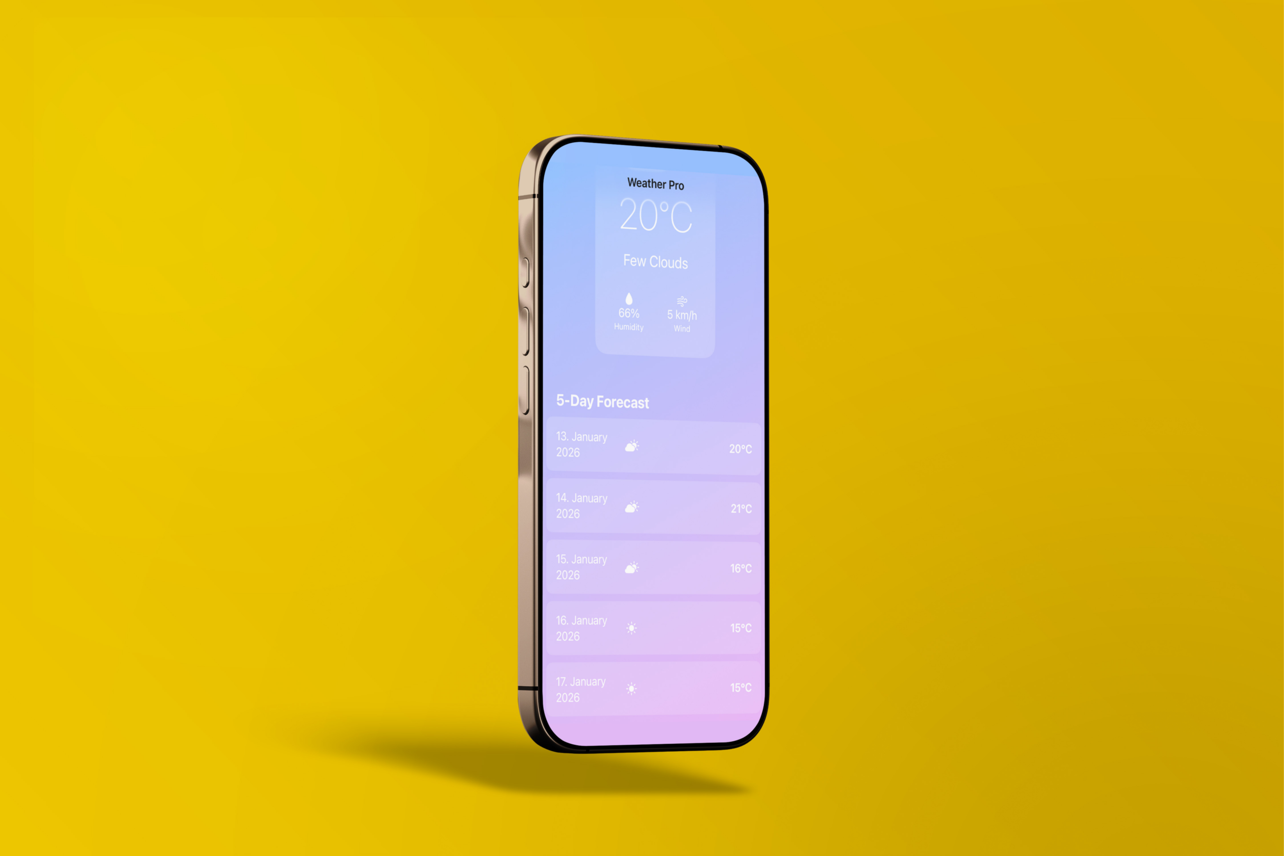 WeatherPro - Image 2